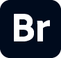 Adobe Bridge 2024 v14.1.2.300 - 高级数字资产管理工具|多窗口支持|Substance 3D集成|自定义快捷键