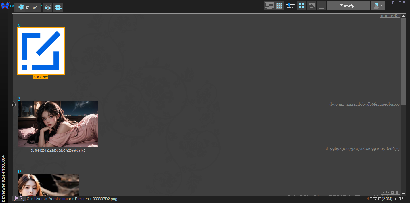bkViewer（数码照片浏览器专业版 强大的数码照片浏览与集中处理工具 支持RAW格式与EXIF信息解析 