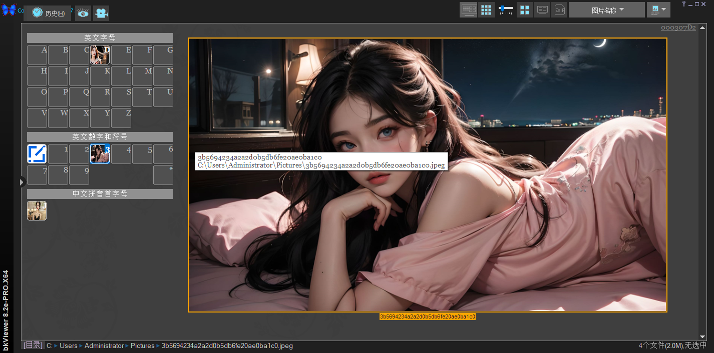 bkViewer（数码照片浏览器专业版 强大的数码照片浏览与集中处理工具 支持RAW格式与EXIF信息解析 