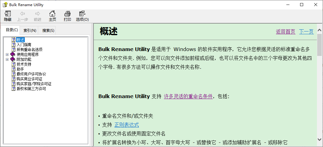 Bulk Rename Utility(批量文件重命名工具)V4.1.0.0 批量文件重命名解决方案 文件管理工具