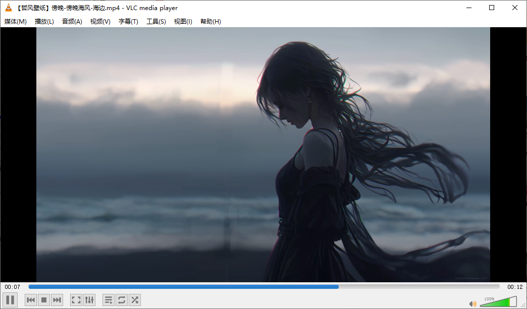 VLC播放器 v3.0.23 中文64位纯净版 超级全能开源影音利器 截图