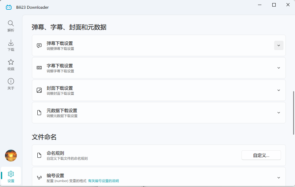 B站视频下载利器(Bili23 Downloader) v2.11.0 中文绿色版 截图