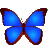 bkViewer v8.8c 中文绿色版 &mdash; 小巧精悍数码照片浏览器，37 种 RAW 直读 + ExifTool 内核 