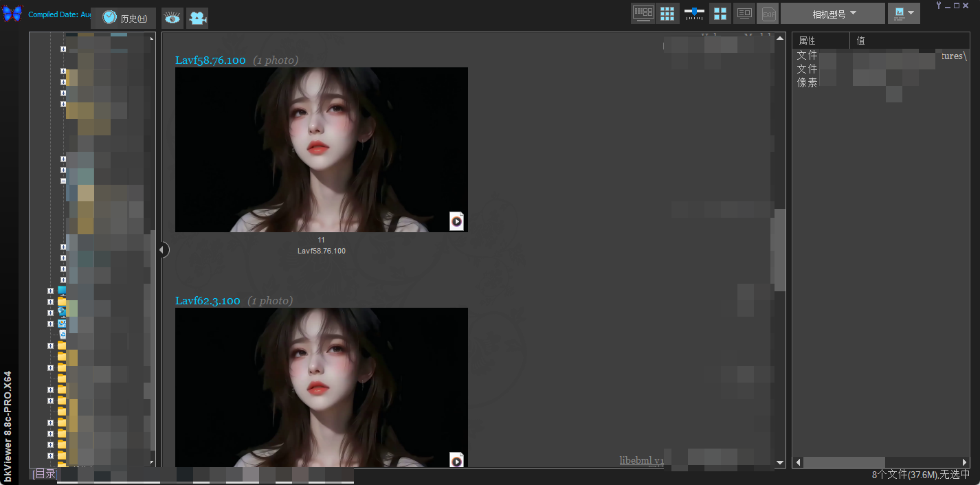 bkViewer v8.8c 中文绿色版 &mdash; 小巧精悍数码照片浏览器，37 种 RAW 直读 + ExifTool 内核  截图