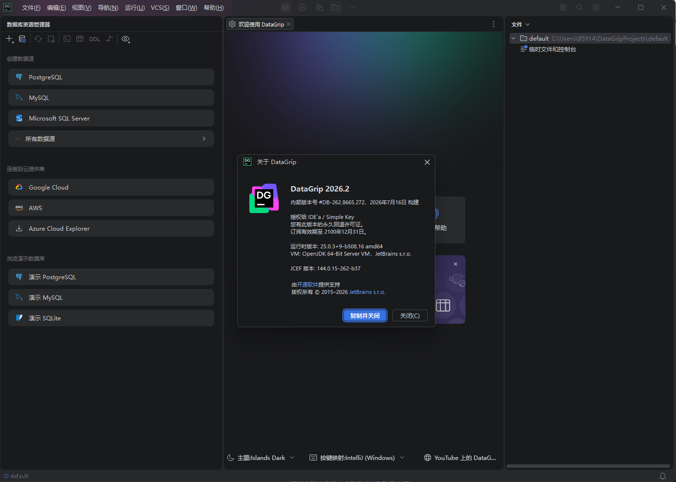 JetBrains DataGrip 2026.2.0 高级版 - 专业数据库IDE AI助手+永久激活 截图