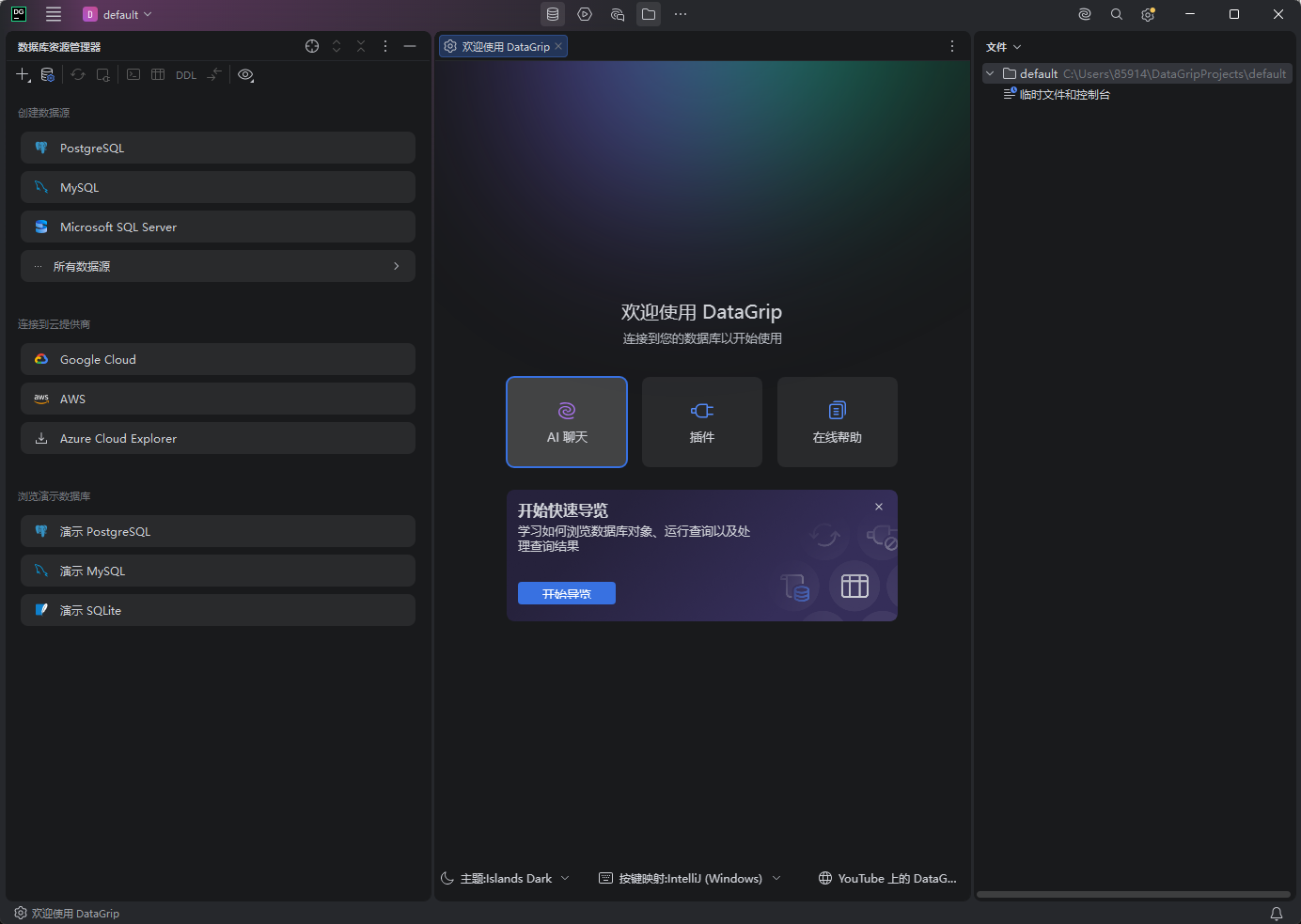 JetBrains DataGrip 2026.2.0 高级版 - 专业数据库IDE AI助手+永久激活 截图