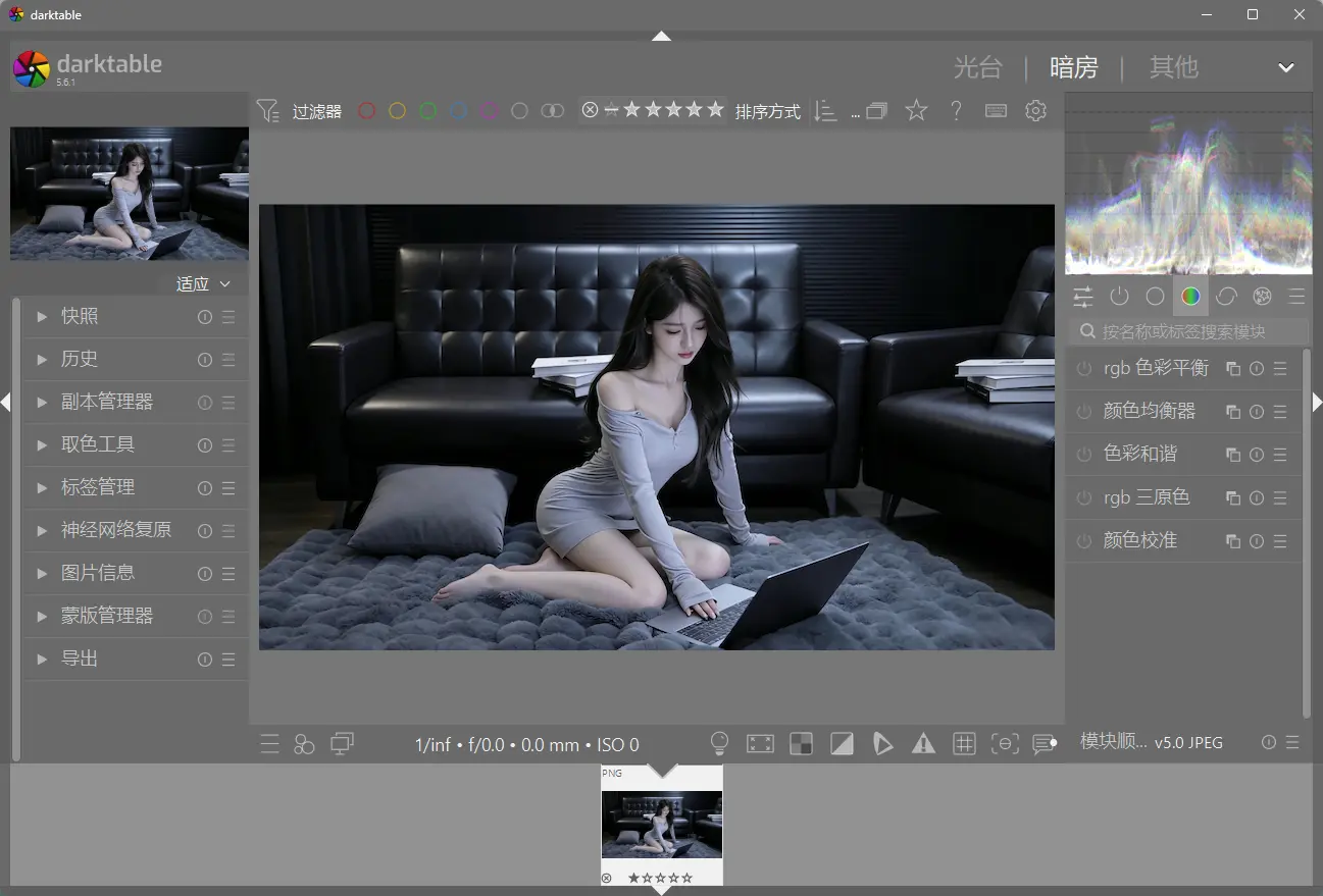 Darktable v5.6.1  - 免费强大的专业级RAW照片后期处理与调色神器 截图