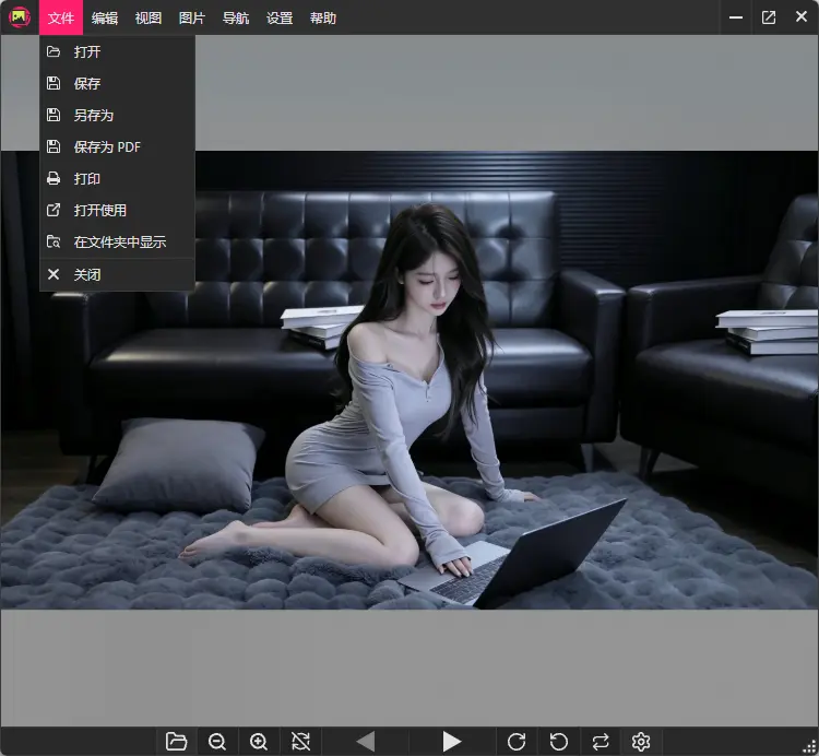 PicView v5.0.6 多语便携版 - 兼具极速看图与色彩增强的开源图片浏览器 截图