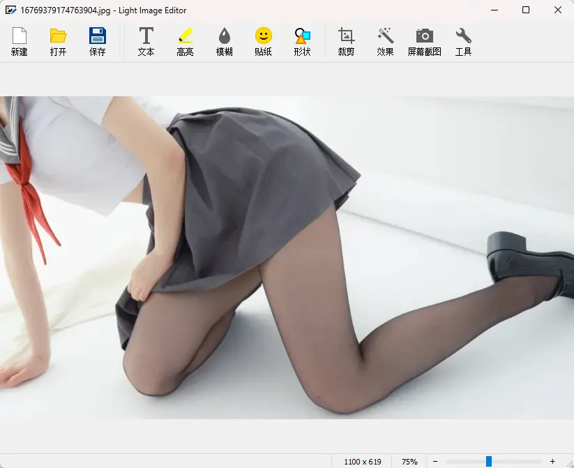 Light Image Resizer(图像调整工具) v7.6.6.178 多语便携版 批量图片极速缩放格式转换画质无损压缩与水印拼贴神器 截图