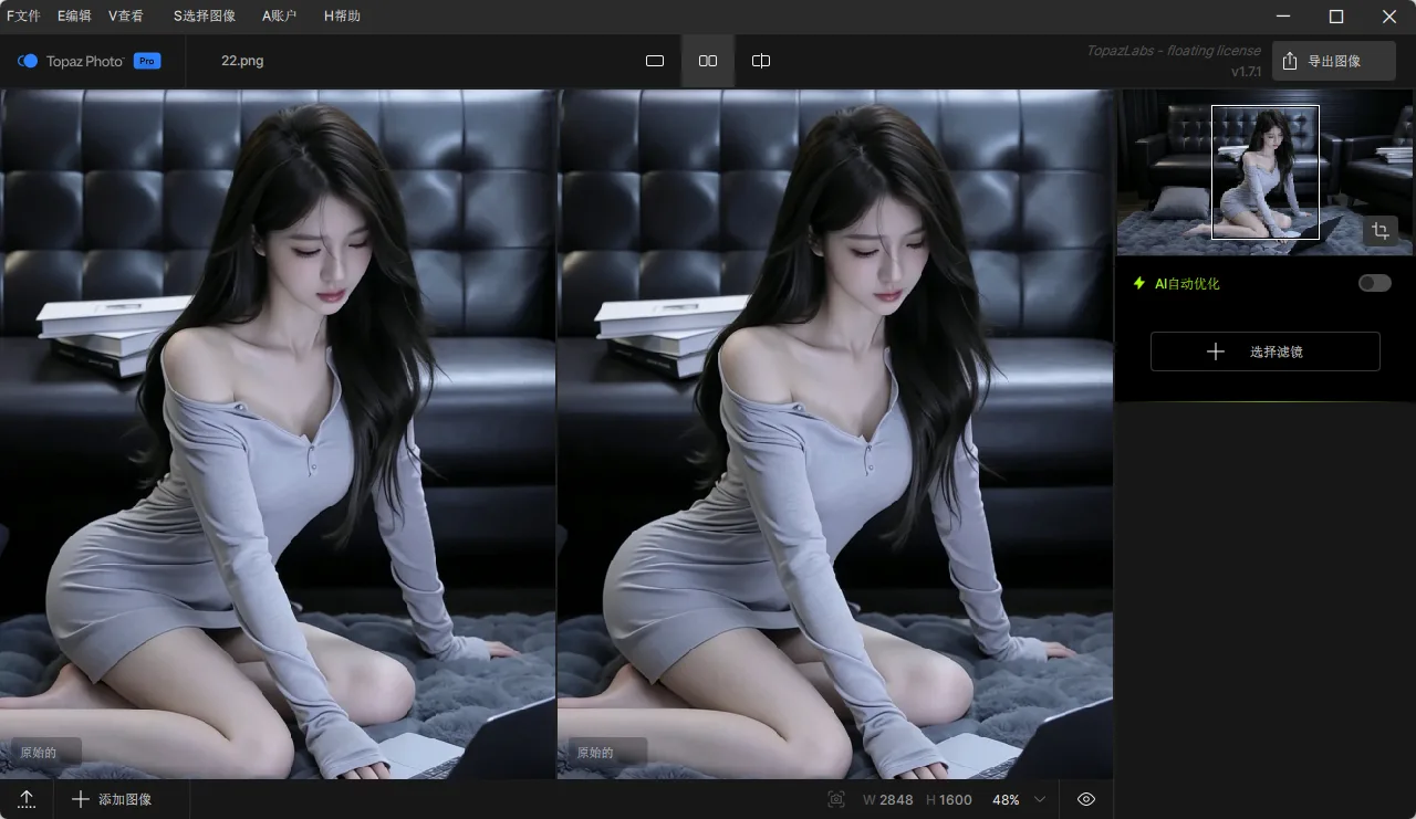 Topaz Photo Pro v1.7.1 AI图像画质修复与超分辨率增强 中文汉化便携版 真实测试截图