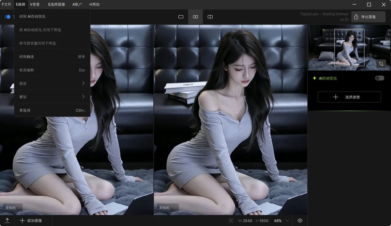 Topaz Photo Pro v1.7.1 AI图像画质修复与超分辨率增强 中文汉化便携版 真实测试截图